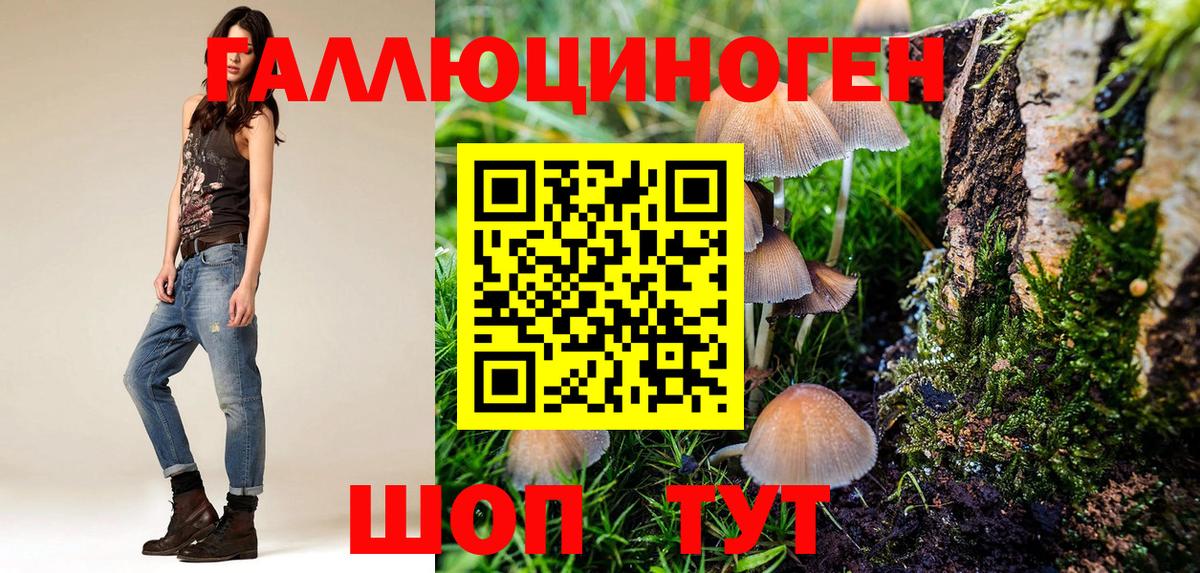 Жуковский  Галлюциногенные грибы мицелий  Вход с VPN 