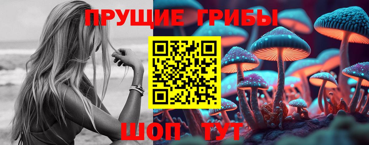 Галлюциногенные грибы GOLDEN TEACHER Жуковский